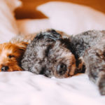 How to Sleep Better | 8 Natural Tricks to Get Better Sleep