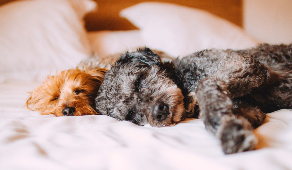 How to Sleep Better | 8 Natural Tricks to Get Better Sleep