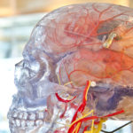 Brain Health: 5 Foods to Avoid to Keep Your Healthy Brain in Tact