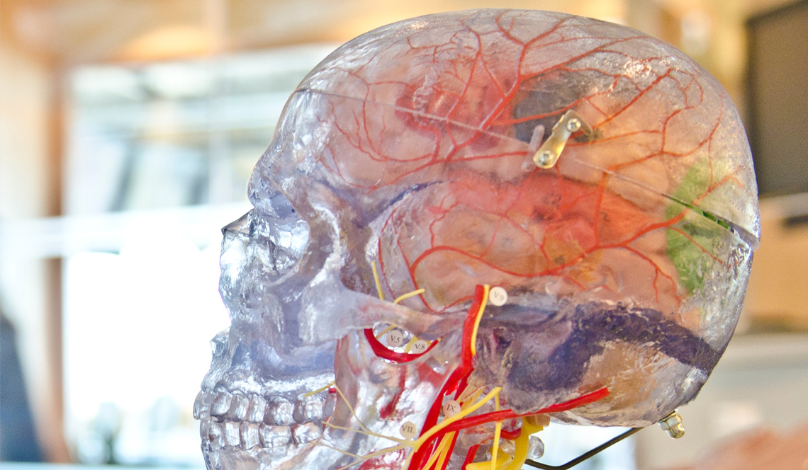 Brain Health: 5 Foods to Avoid to Keep Your Healthy Brain in Tact