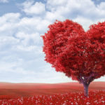 8 Ideas for Eco-Friendly and Organic Valentine’s Day Gifts for Anyone