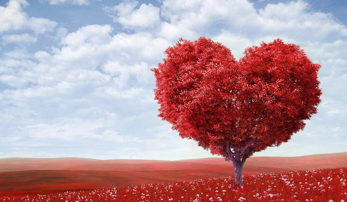 8 Ideas for Eco-Friendly and Organic Valentine’s Day Gifts for Anyone